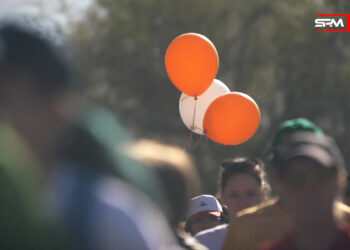 NEET санатындағы жастардың көбеюіне не себеп?